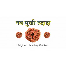 9 Mukhi Rudraksh (1.0)
